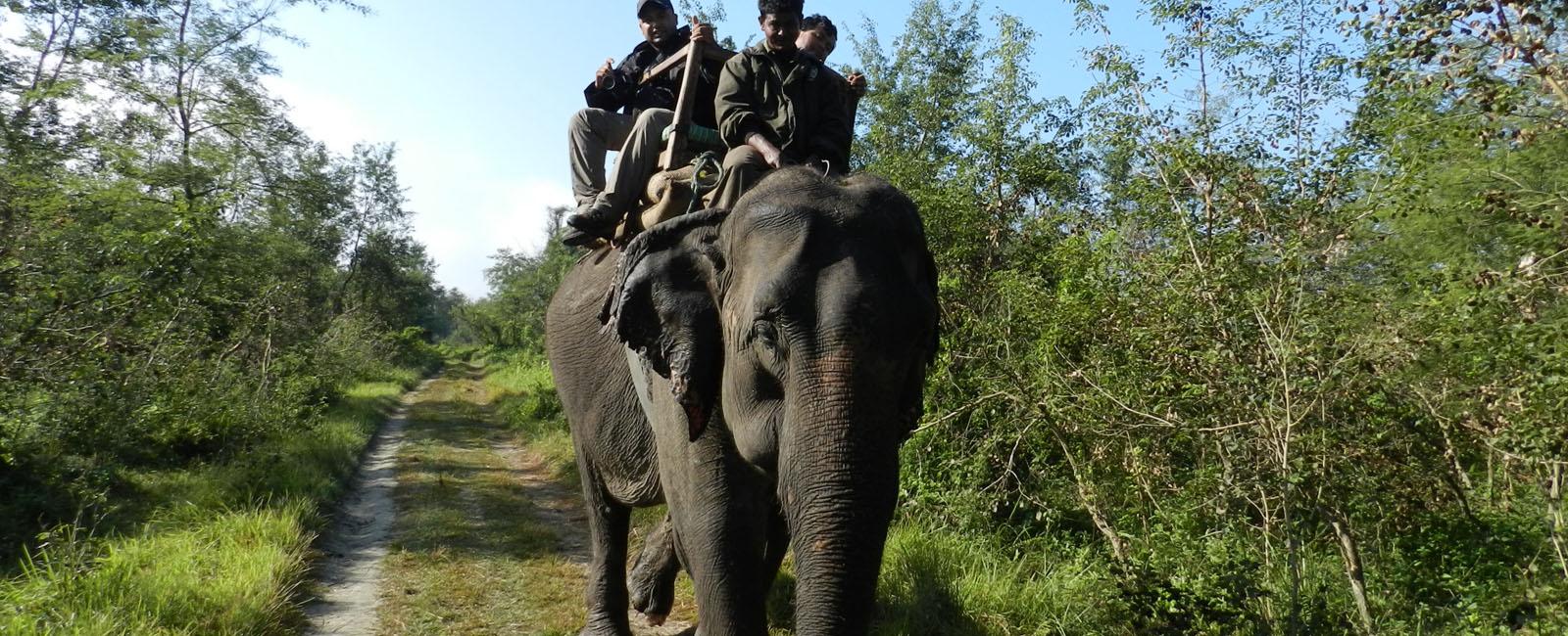 Chitwan Jungle Safari
