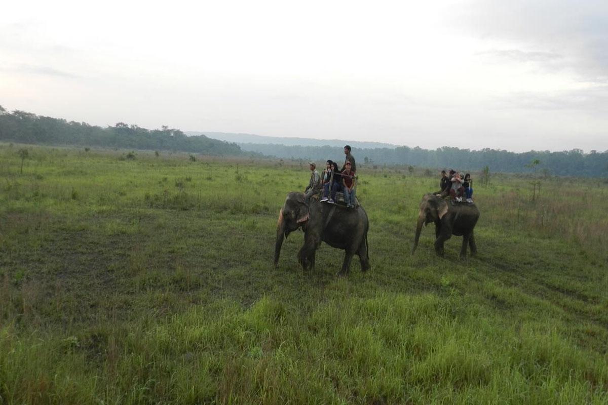 Elephant safari in Chitwan