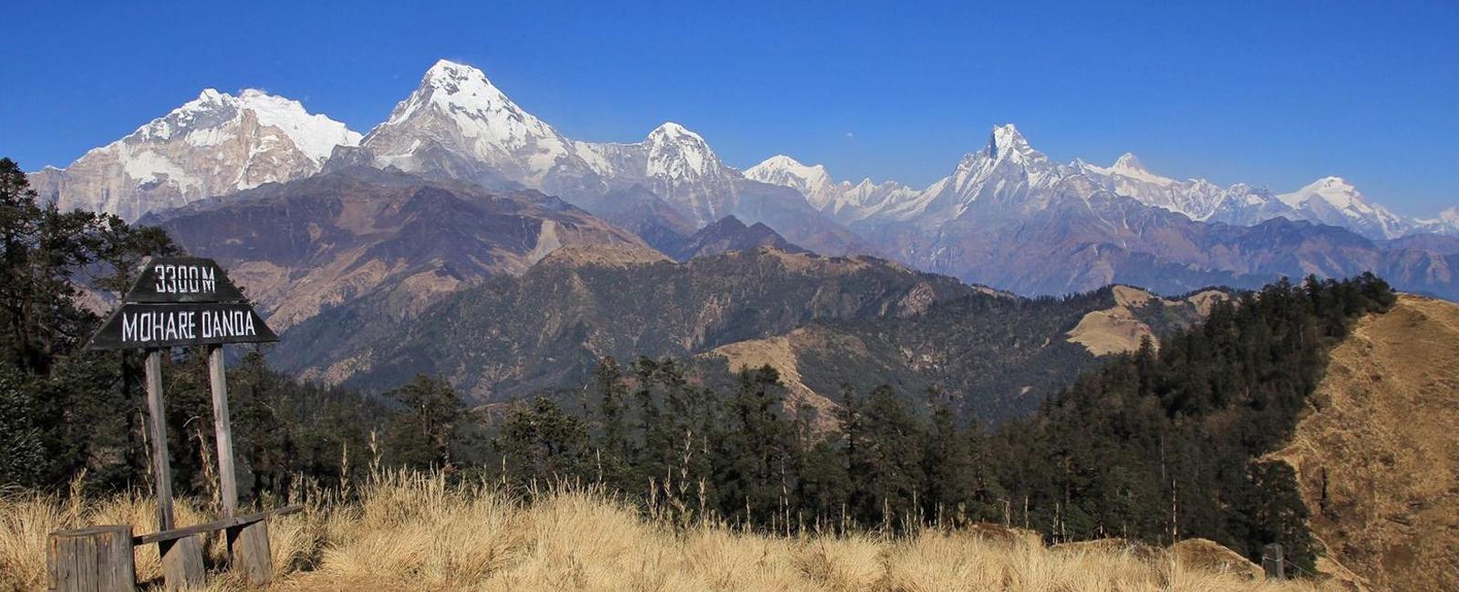 Mohare Danda Trek