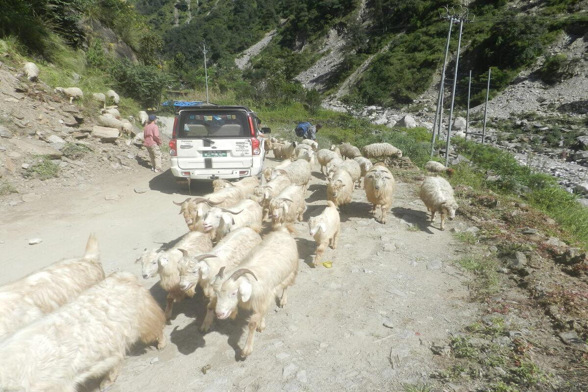 Mukinath jeep route